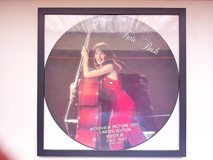 Framed Kate Bush Interview Pic Disc
