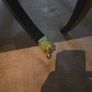 Dining Table And Chairs. 2 End Pieces And 6 Side Ones.  27886 Image 7
