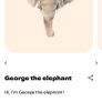 wild and soft tiger and elephant head Image 2