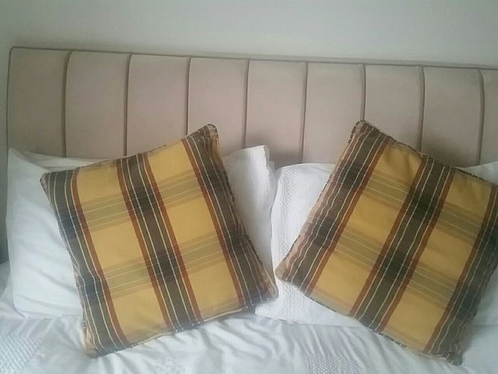 Cushion