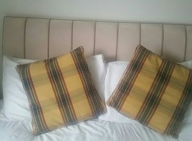 Cushion