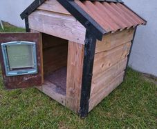 Small Dog Kennel