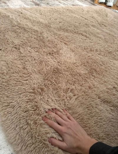 Soft Shaggy Beige Rug