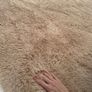 Soft Shaggy Beige Rug Image 3