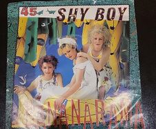 Bananarama Shy Boy 7 Inch Vinyl 1982