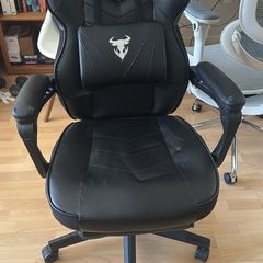 Zeanus Gaming Chairs with Footrest Recliner