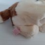 New collectable beanie buddies dog with tag Image 4