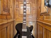 D'Angelico Premier SS
