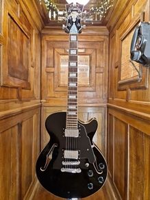 D'Angelico Premier SS