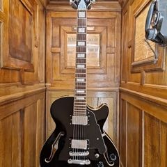 D'Angelico Premier SS