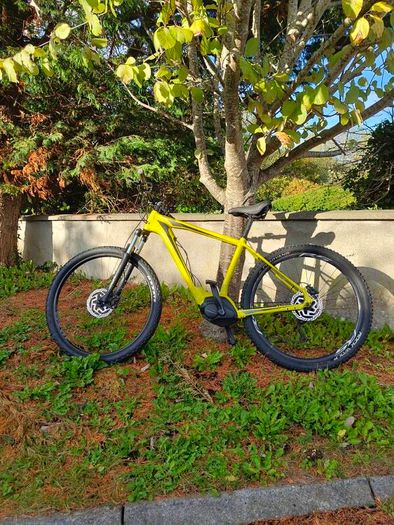 Electric bike