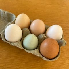 Free Range Duck Eggs for sale.