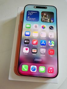 iPhone 17 Pro Max 256GB Battery 100%