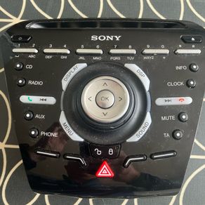 Ford Sony radio panel