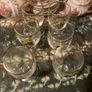 Vintage Irish glasses free postage Image 2