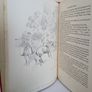 Hunting Without Tears by Captain Lionel Dawson. Illustrated by Maurice Tulloch (PT246) Image 5