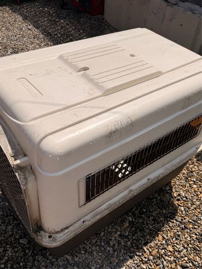 XL Dog travel kennel