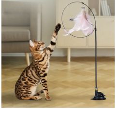 Cat Accessory