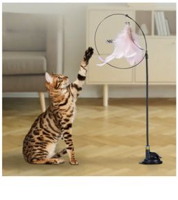 Cat Accessory