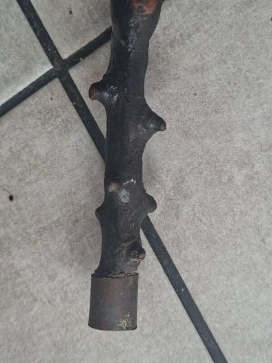 Antique Traditional Irish Blackthorn walking stick