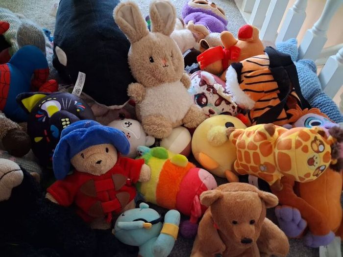 teddies