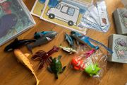 Seaside Aistear Pack