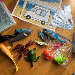 Seaside Aistear Pack