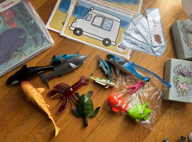 Seaside Aistear Pack