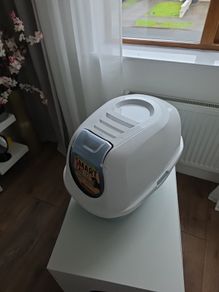 cat liter box