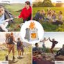 Camping Wood Stove,Compact Folding Titanium Wood Stove with Mini Alcohol Stove for Outdoor Camping Cooking Picnic Image 7