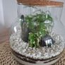 Forest in the jar Image 2