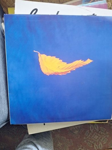 Vinyls ...LP's all 35 for the One Price of 65.00euro .. Price Drop