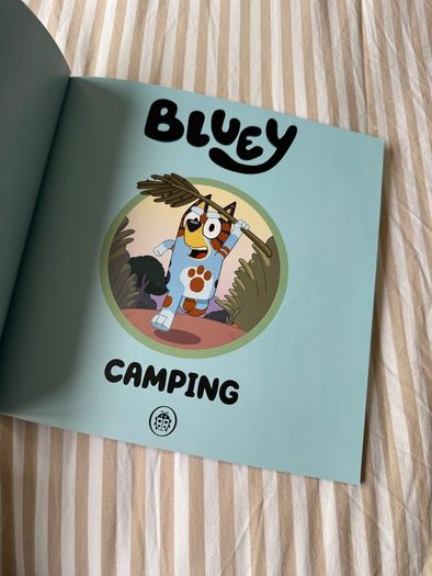 Bluey kids book bundle
