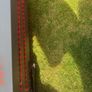 E-scooter Image 5