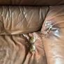 Free 3 seater sofa Image 2