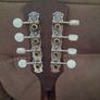 Mandola Image 5