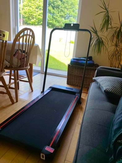 treadmill/walking pad