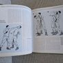Deadly Fighting Skills of the World - Steve Crawford - 1997 Military Hardback Image 2