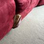 sofa Image 7