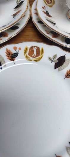 Vintage Arklow Autumn Leaves Fine Irish Bone China  Golf Player Wills