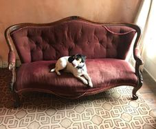 victorian sofa