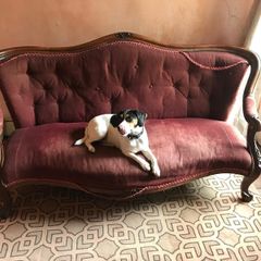 victorian sofa