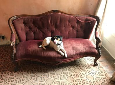 victorian sofa