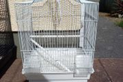 small bird cage