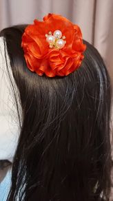 Hair clips