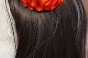 Hair clips