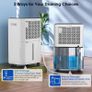 Hangsun 20L/Day Dehumidifiers for Home Dehumidifier for Drying Clothes and Damp with Digital Humidity Display, Continuous Drainage, 24 Hour Timer, Ideal for Laundry Room, Basement, Bedroom, Bathroom Image 6