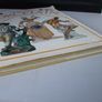 SALE!  PORCELAIN by Hugh Tait (English edition) Image 7