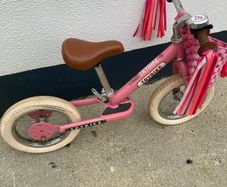 Trybike balance bike
