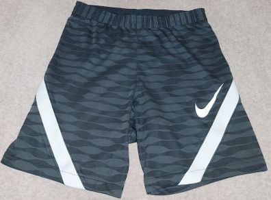 Nike shorts men